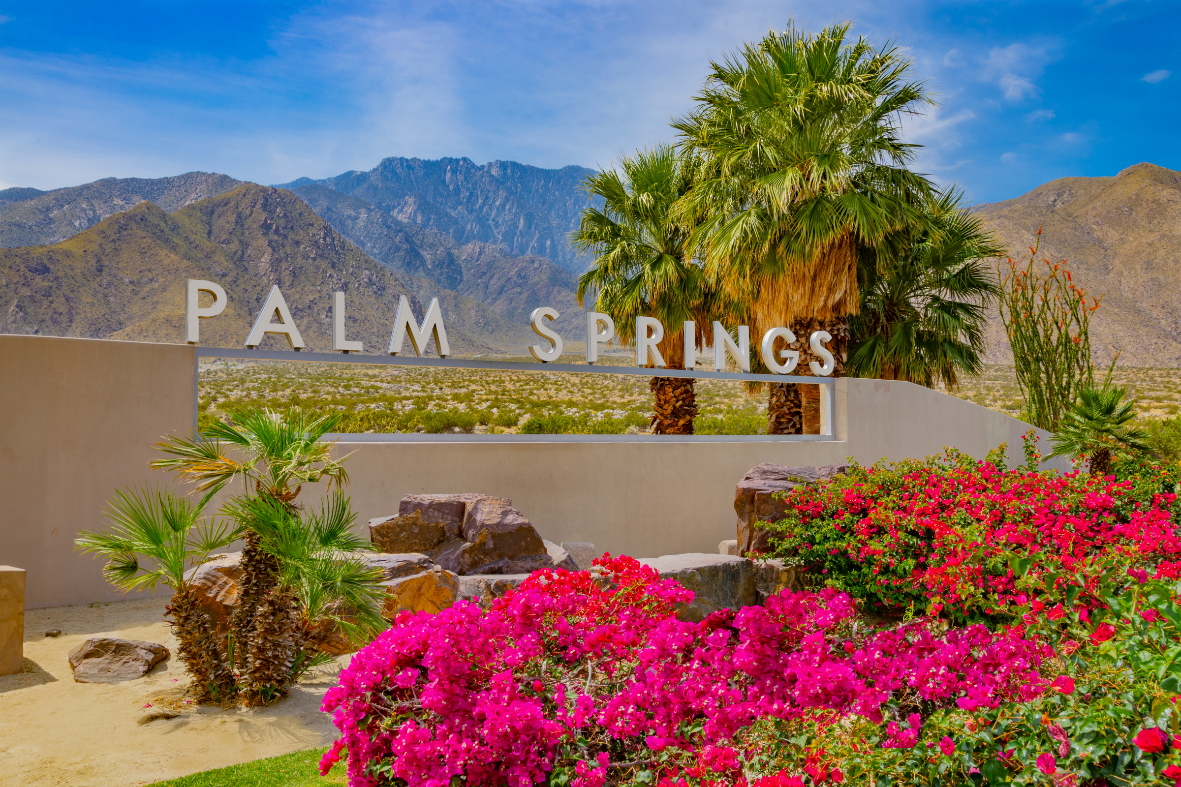 palm springs, california (3).webp